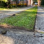 kertfenntartás